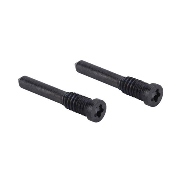 iPhone 12 Pro Bottom Screws Graphite (2 pcs)