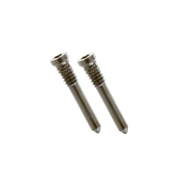 iPhone 13 Bottom Screws Starlight (2 pcs)