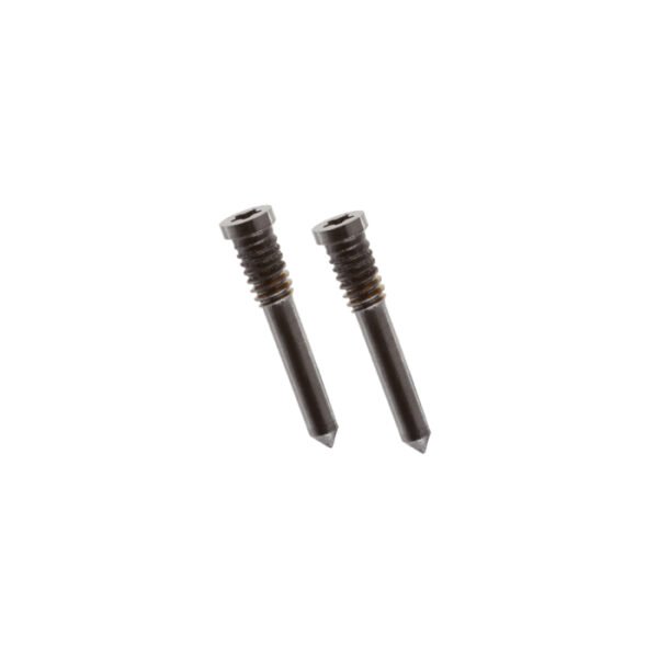 iPhone 13 Pro Bottom Screws Silver (2 pcs)